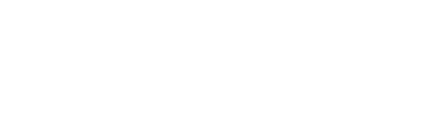 Logo_SAWLA_white